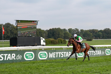 WETTSTAR.de - Preis des Winterfavoriten, Gr. 3